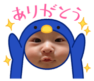 832846648