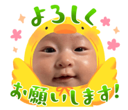 832846660