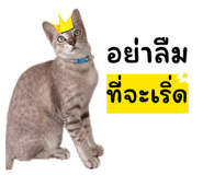 832848409