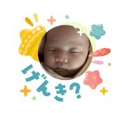 832850053