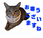 832851655