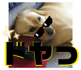 832851783