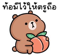 หมีลูคัส V.5 รูปที่ 6