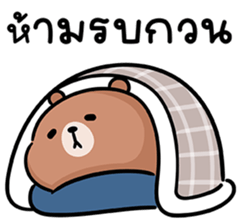 หมีลูคัส V.5 รูปที่ 24