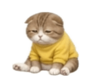 832858714