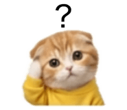 832858725