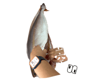 832859191