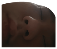 832862094