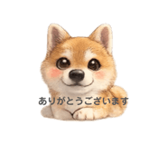 832910178