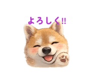 832910180