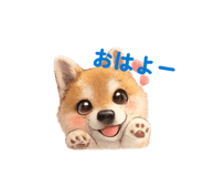 832910187