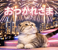 832917016