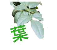 832922668