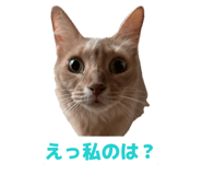 832923623