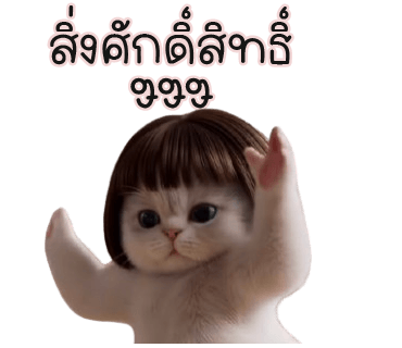 ลายที่ 4