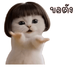 ลายที่ 11