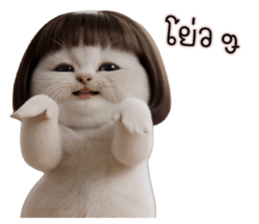 ลายที่ 15