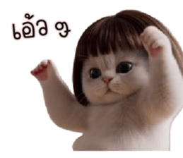 ลายที่ 23