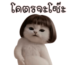 ลายที่ 27