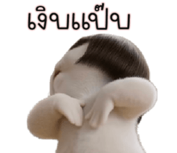 ลายที่ 29