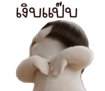 ลายที่ 15