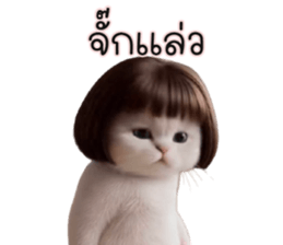 ลายที่ 31