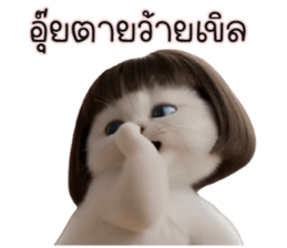 ลายที่ 35