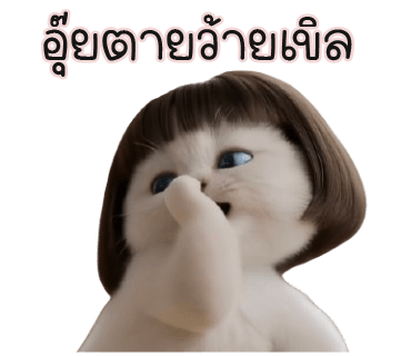 ลายที่ 18