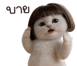 ลายที่ 37