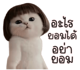 ลายที่ 39