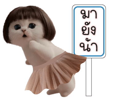 ลายที่ 21