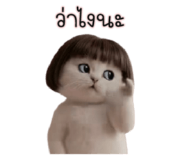 ลายที่ 43