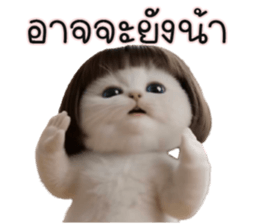 ลายที่ 45