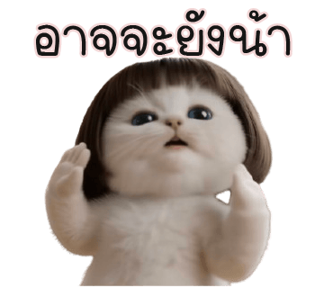 ลายที่ 23