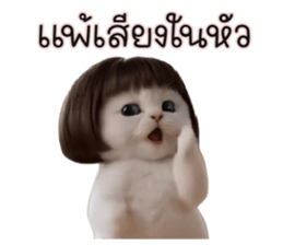 ลายที่ 47