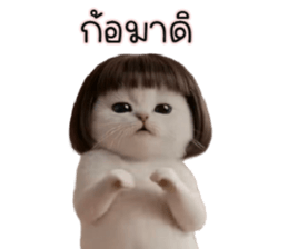 ลายที่ 49