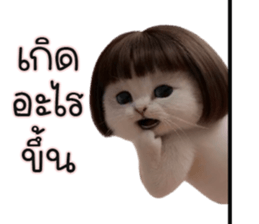 ลายที่ 53