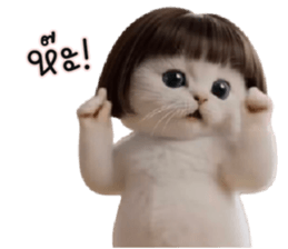 ลายที่ 55