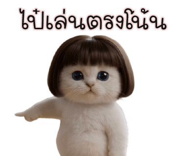 ลายที่ 30