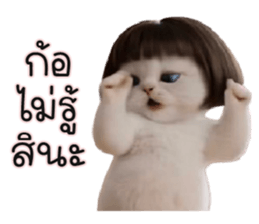 ลายที่ 61