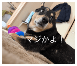 832941489