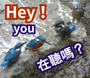 832945138