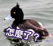832945147