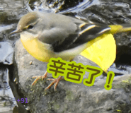 832945150
