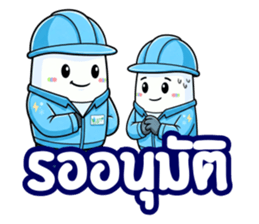 ลายที่ 13