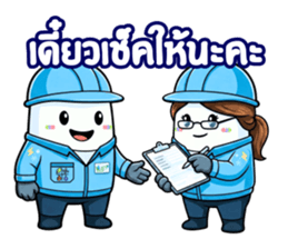 ลายที่ 31