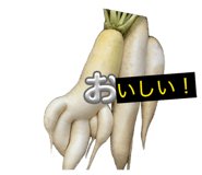 832953256