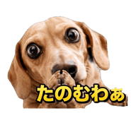 832957641