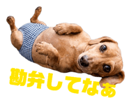 832957651