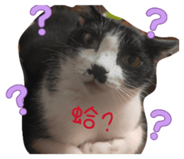 832976822